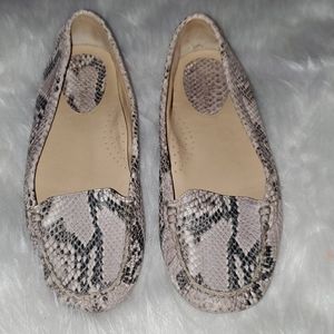 Cole Haan Size 7. 5  B Snakeskin Design